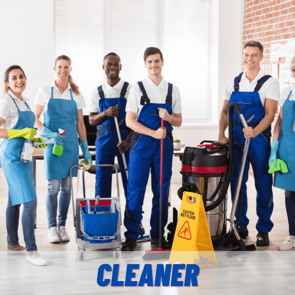 Professional-Cleaning Service