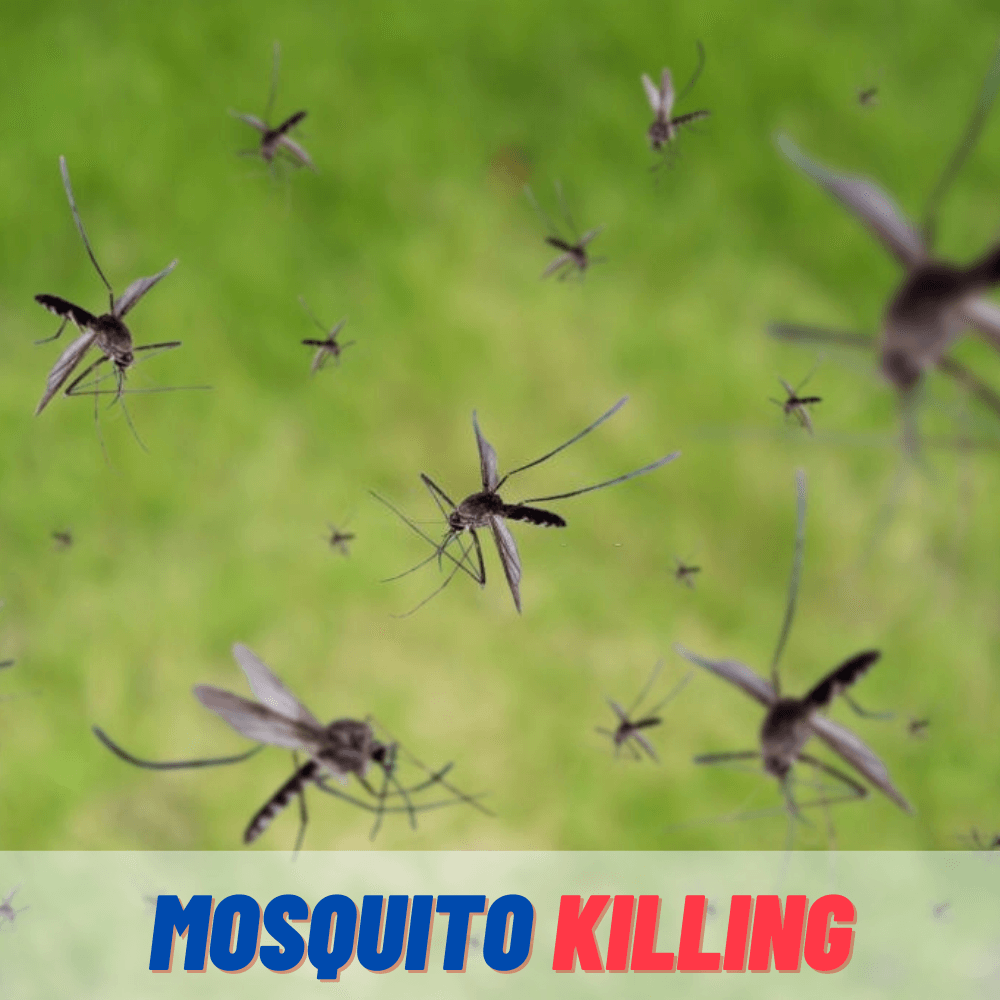 Mosquito Killing Service